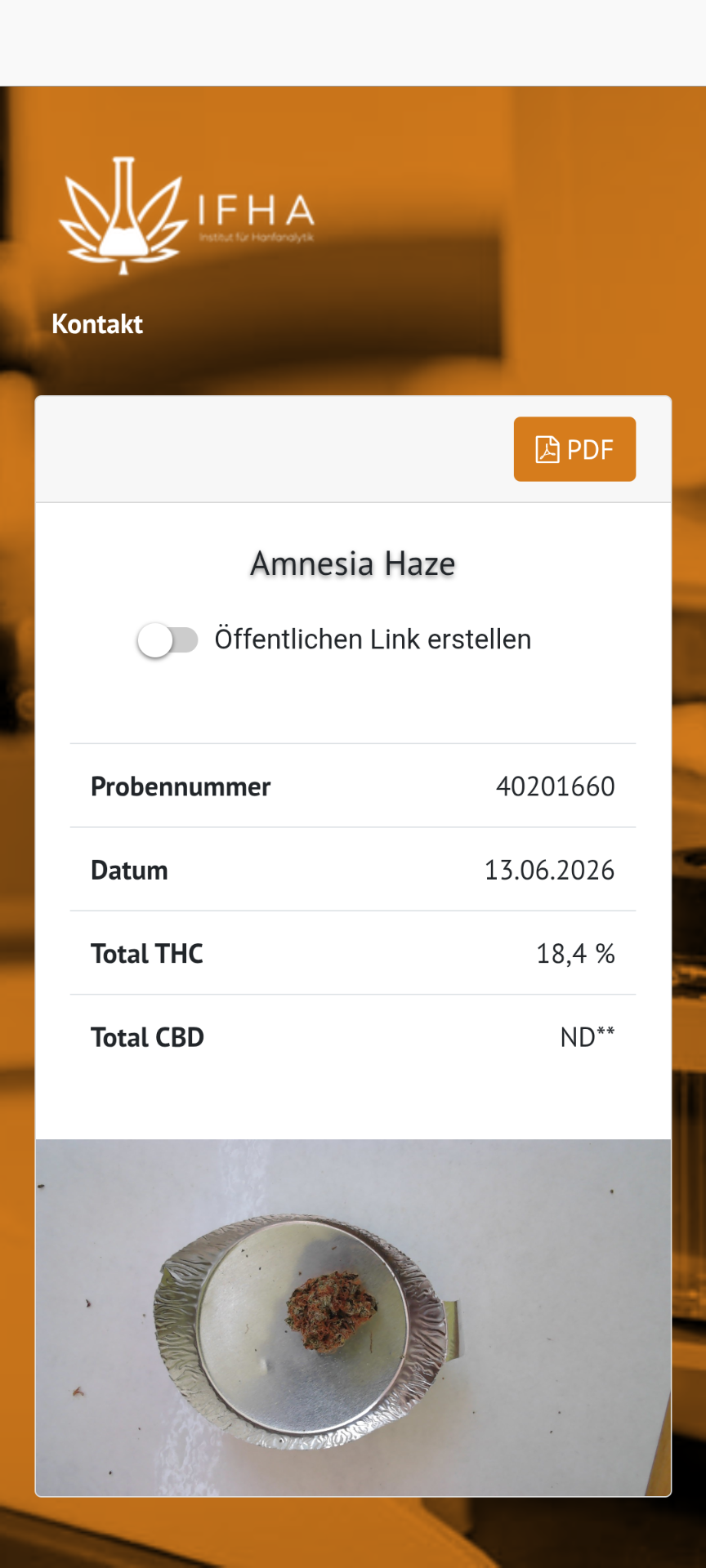 Analysenergebnis – Serverabruf