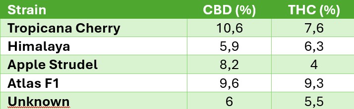 Fig. 3: Cannabinoid levels of CBD–THC hybrid samples